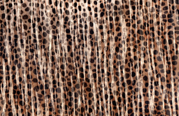 Abstract Animal Skin Backgrounds: Bold Textures for Modern Design